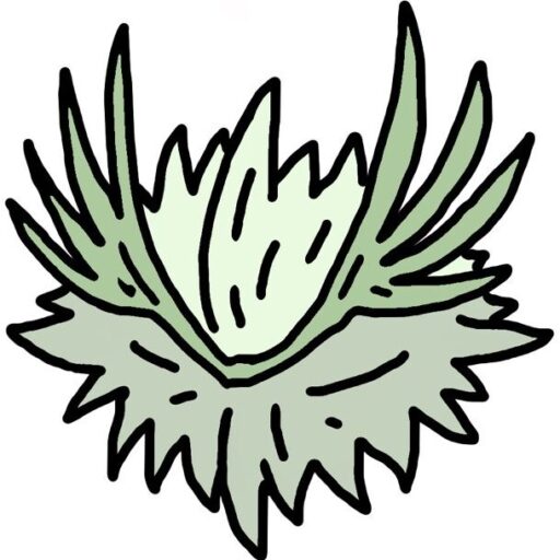 Hidamari-plants website was started!!